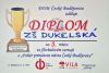 diplom florba 2019 sm
