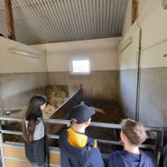 Den otevřených dveří