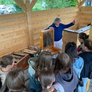 Fenomenální včely