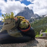 Turistický výlet do Alp