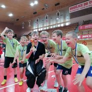Školní florbalová liga