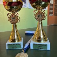 Školní florbalová liga