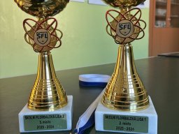 Školní florbalová liga