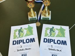 Školní florbalová liga