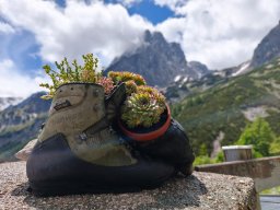 Turistický výlet do Alp