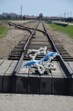 Birkenau_11